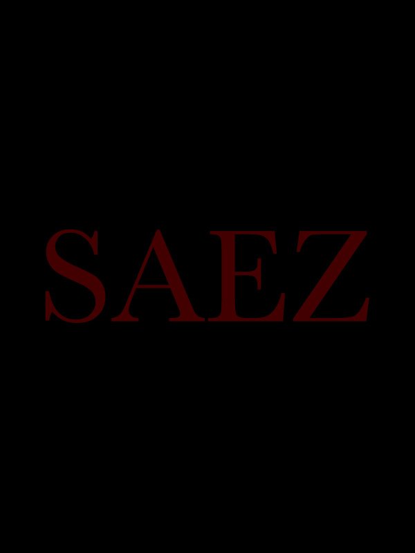 Концерт Saez