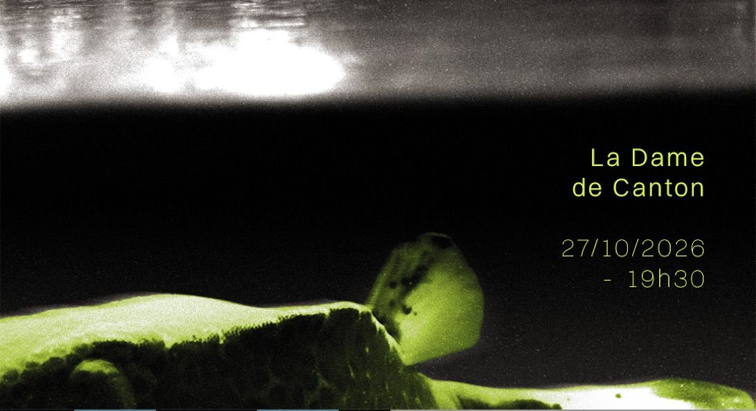 Fish Don't Exist, Scleroda и Eigengrau